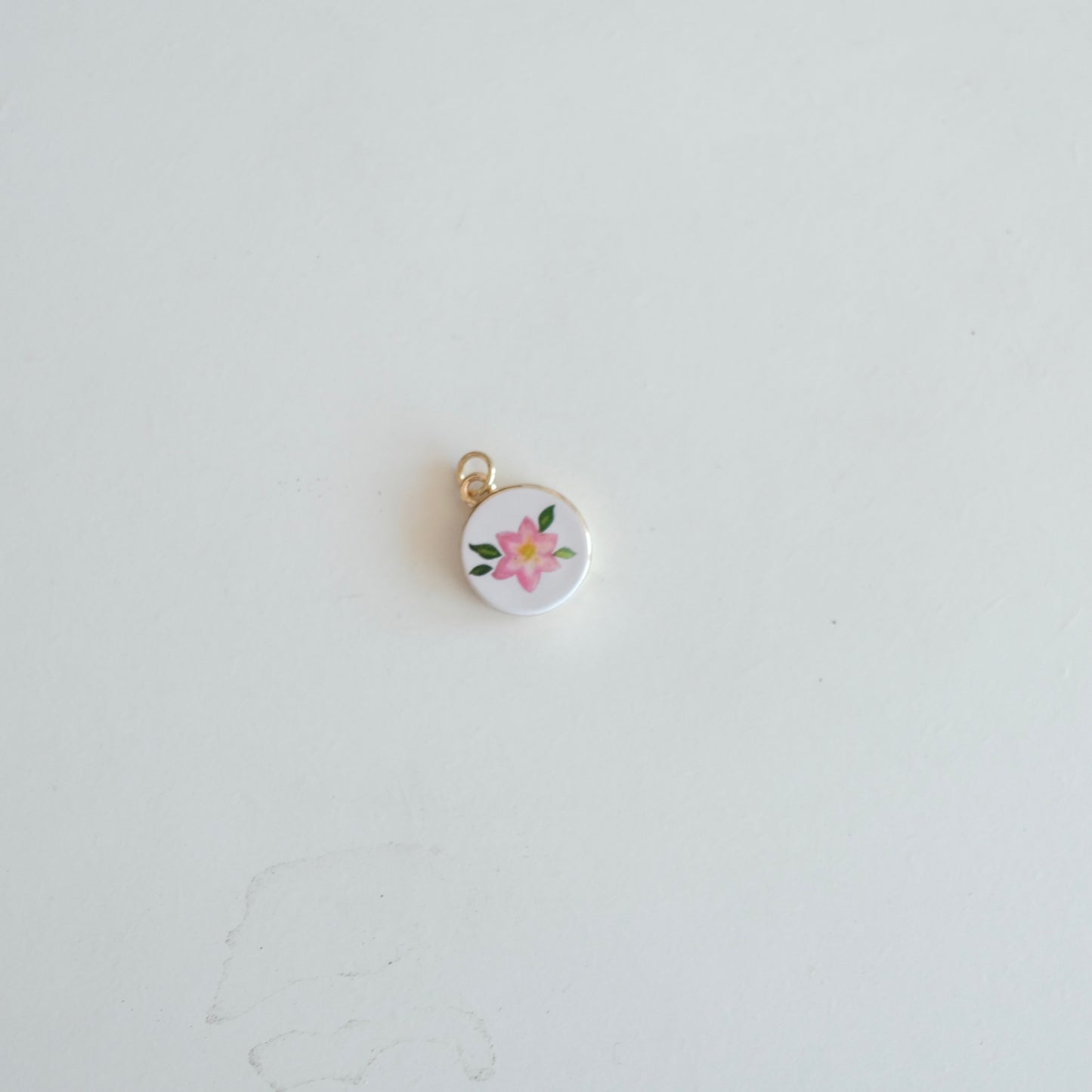 Assorted Charms